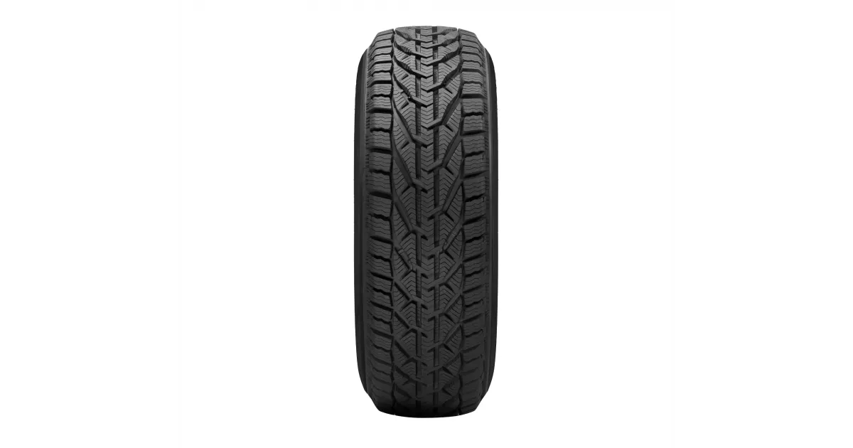 205/55R16 Riken 94H SNOW XL zim 